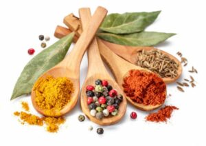 Grossiste bio qualité et durabilité combinées