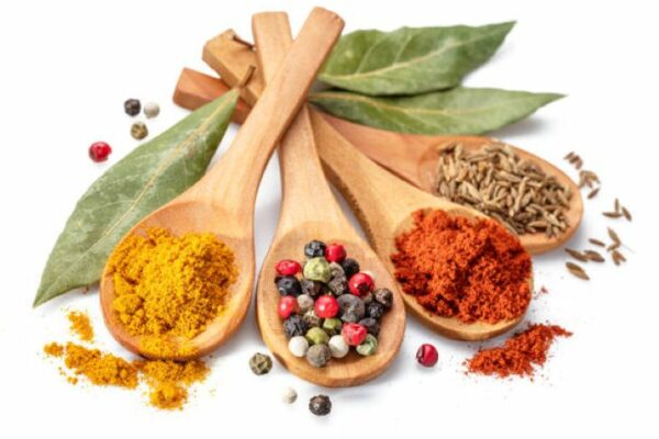 Grossiste bio qualité et durabilité combinées